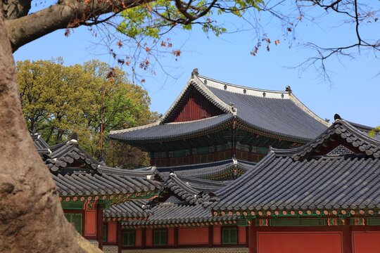 Seoul city tourist attraction in South Korea. Changdeokgung Palace, UNESCO World Heritage Site.