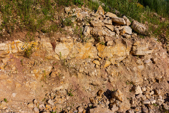 Weathered limestone rock formation in an abandoned quarry with rugged strata, jagged debris, loose gravel, and sparse wild flora clinging to the sunlit earthen cliffside texture