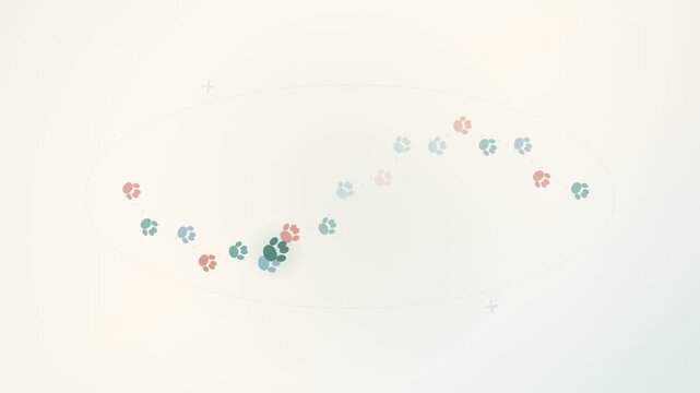 Paw Prints Trail Motion Graphic