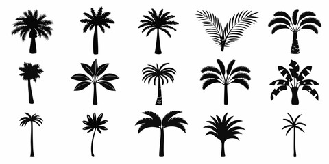 Palm Tree Silhouettes Collection Black Shapes On White Background © MihirKumarMondal