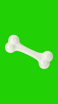 4k Resolution Vertical Video for Social Media: Pet Nutrition And Dog Treat Concept. Glossy White Edible Chew Bone For Dogs Seamless Loop Rotating On Green Screen Chroma Key Background With Alpha Matte
