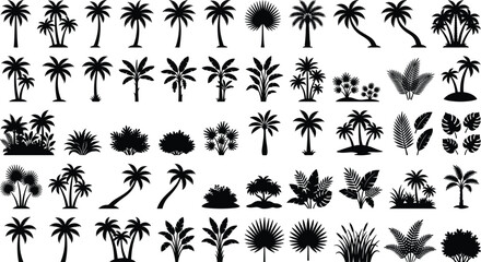 Tropical Palm Trees and Exotic Botanical Plants Solid Black Silhouette Icon Set featuring Coconut Palms Monstera Leaves Ferns and Jungle Bushes for Summer Travel Graphic Designs © Himel