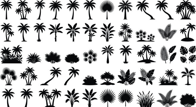 Tropical Palm Trees and Exotic Botanical Plants Solid Black Silhouette Icon Set featuring Coconut Palms Monstera Leaves Ferns and Jungle Bushes for Summer Travel Graphic Designs