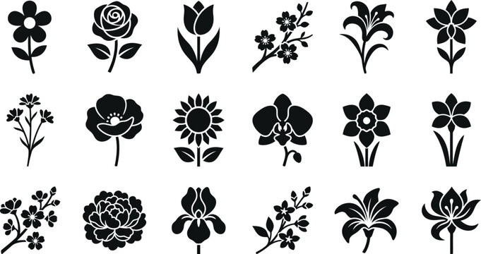 Fifteen black flower featuring various botanical species like roses, tulips, and sunflowers on a white background