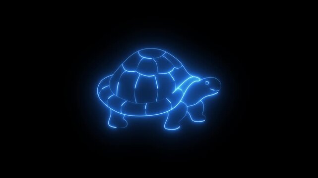 Blue neon glowing outline of a turtle on black
