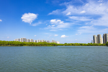 Modern lakeside city skyline with residential towers and blue sky © TrieuHao