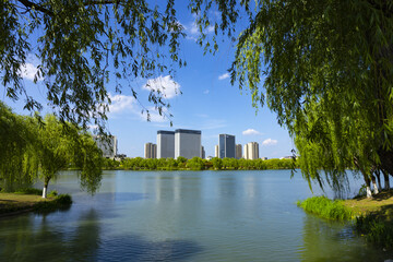 Obraz premium Modern city skyline across lakeside framed by weeping willow trees
