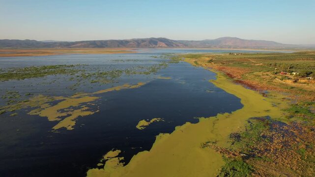 Stunning aerial footage flying over the vast Marmara Lake, showing extensive algae blooms on its surface,fa01
