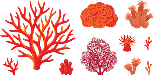 Underwater Coral Reef Vector Icon Set Featuring Sea Anemone, Brain Coral, Sea Fan, and Marine Life Elements © Md shain