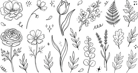 Botanical wildflowers and leaves vector sketch set showing tulip rose lavender fern eucalyptus elements © Bahadur