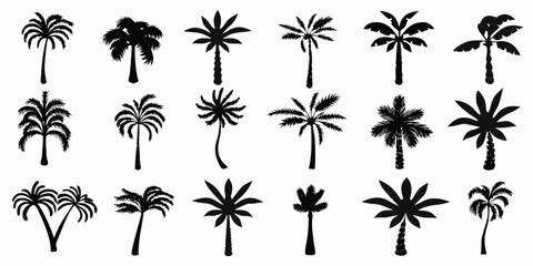 Palm Tree Silhouettes Collection Black Shapes On White Background © bashanti