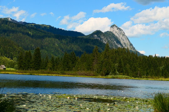 Spechtensee, Badeteich in W&ouml;rschachwald, Steiermark 