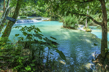 Tropical Waterfall Pools in Lush Jungle © LuuDieuThanh