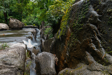 Scenic jungle waterfall framed by a massive wet mossy boulder in the foreground. © k33pcalmncapture