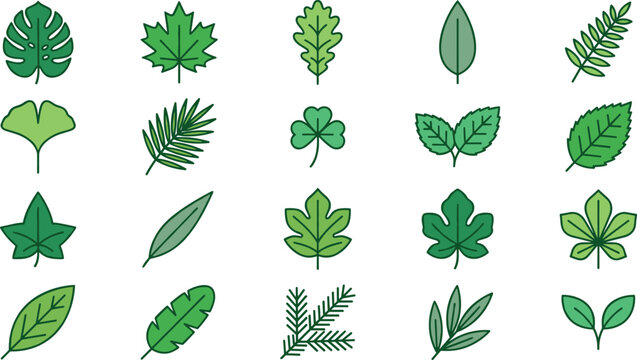 Green Tree and Plant Leaves Vector Icon Set with Monstera Maple Oak Fern Clover and Ginkgo Foliage Elements for Botanical Designs