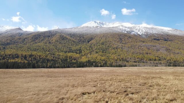 Aerial view of Kanas in autumn with yellow leaves, colorful forests, and early snow in Xinjiang, China.