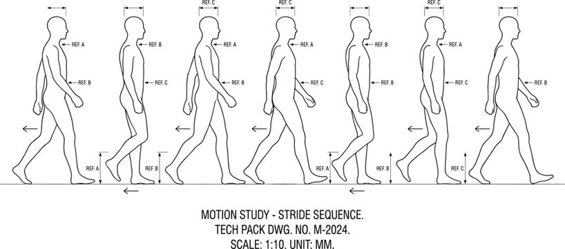 Male walking stride motion study vector line art sequence diagram with measurements for technical design