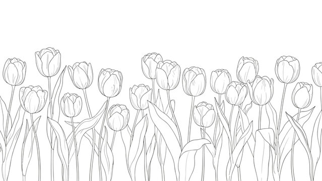 Horizontal row of hand drawn tulip flower outlines in various stages of bloom for floral borders and spring garden themed decorations.