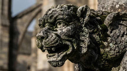 Fototapeta premium Ancient Gargoyle statue with moss
