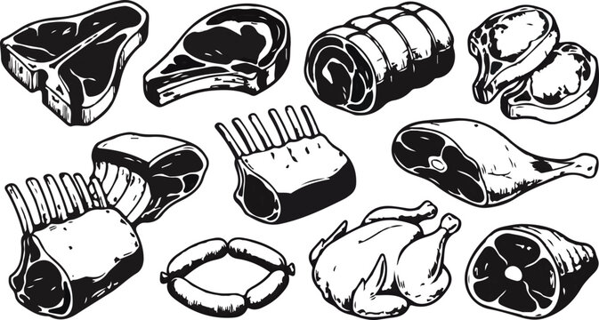 Fresh meat cuts vector illustration set of steaks and poultry