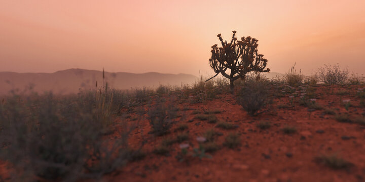Cholla in an arid wide landscape during misty sunset. 3D rendered image.