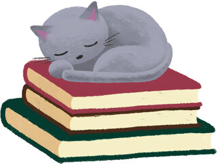Sleeping Cat on Books