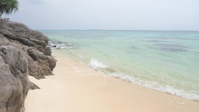 Pristine white sand beach with turquoise waters in Karimunjawa National Park Indonesia, framed by tropical trees and driftwood under calm midday sky