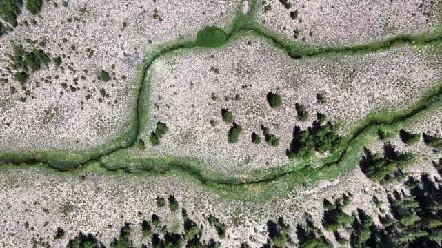 A narrow creek meanders through a wetland in the Deschutes National Forest near Mt. Bachelor, Oregon. Wetland habitats support a wide variety of species.