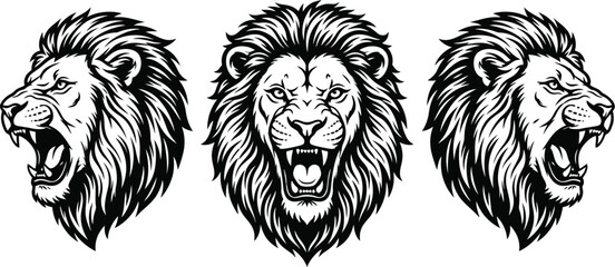 Fierce Lion Head Mascot Collection © Durjoy Paul