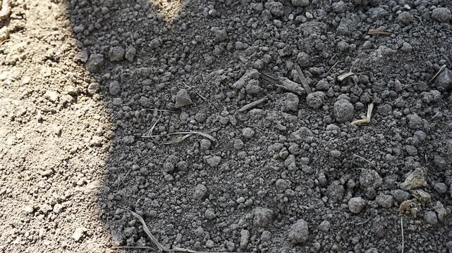 High angle view of dry brown soil with loose dirt clods and small twigs representing agriculture farming land preparation and soil health