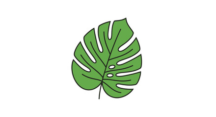 Single green monstera leaf botanical illustration © dartok