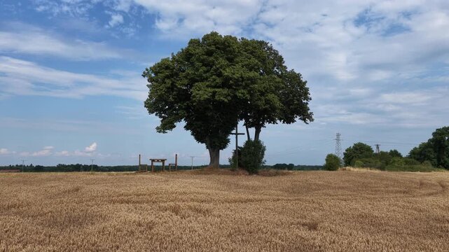 Giant dining installation in a rural field, featuring oversized table and chairs as an artistic outdoor sculpture, surrounded by grain fields, trees and wooden cross in peaceful countryside