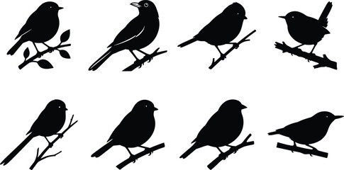 Fototapeta premium Vector set of black bird silhouettes perched on branches for nature and wildlife design projects.