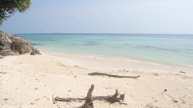 Pristine white sand beach with turquoise waters in Karimunjawa National Park Indonesia, framed by tropical trees and driftwood under calm midday sky