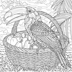 Obraz premium Toucan and a basket of fruit.Coloring book antistress for children and adults.