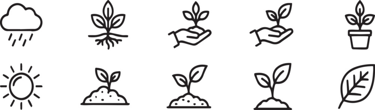 Plant growth stages icons seed sprout sapling and potted plant
