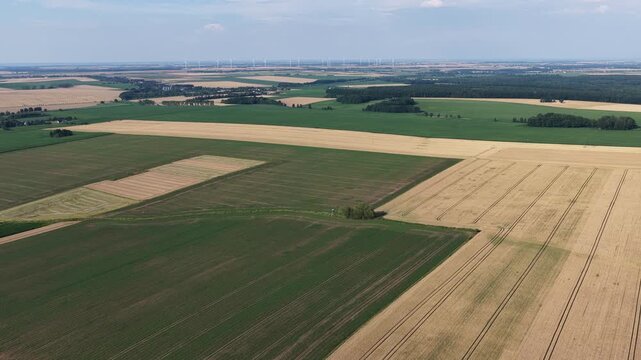Aerial drone view of rural villages and agricultural fields near Opole and Nysa in Poland, showing geometric farmland patterns, scattered houses, winding country roads and green meadows in daylight.