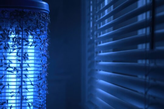 Insect trap lures numerous flying bugs to a bright blue light