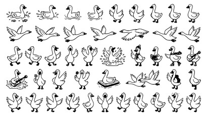 Fototapeta premium Cute Goose Cartoon Outline Collection with River Bird Vector Illustrations