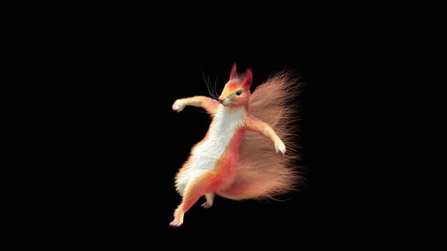 Realistic dancing squirrel performing rumba dance animation with alpha channel transparent background