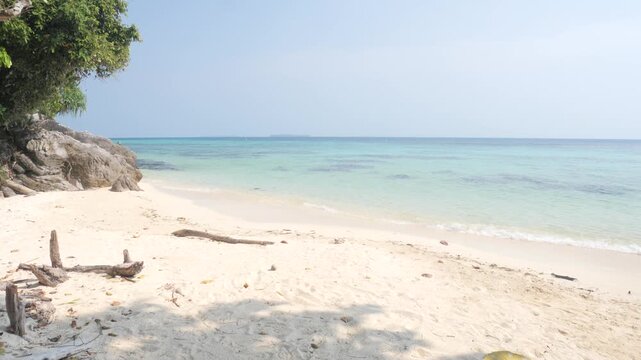 Pristine white sand beach with turquoise waters in Karimunjawa National Park Indonesia, framed by tropical trees and driftwood under calm midday sky