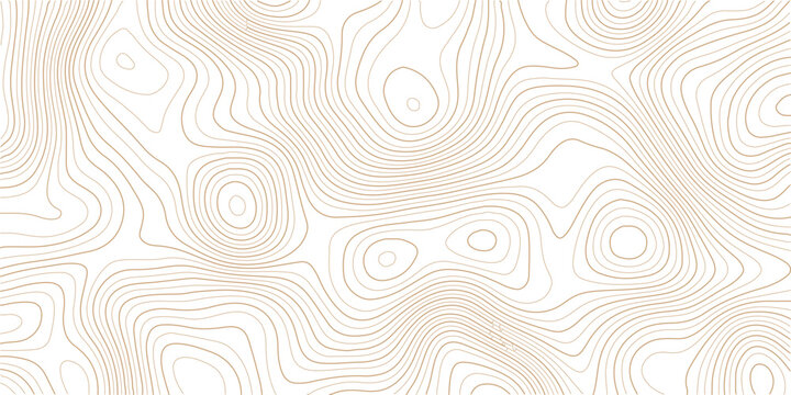 Abstract topographic map design with elegant golden lines on white background