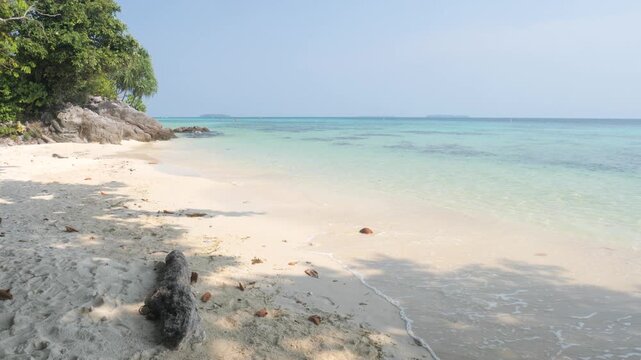 Pristine white sand beach with turquoise waters in Karimunjawa National Park Indonesia, framed by tropical trees and driftwood under calm midday sky