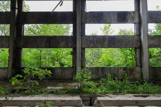 An abandoned concrete building without windows is gradually overgrown with bright green vegetation and trees. Dense forest and natural light are visible through massive rectangular wall openings.