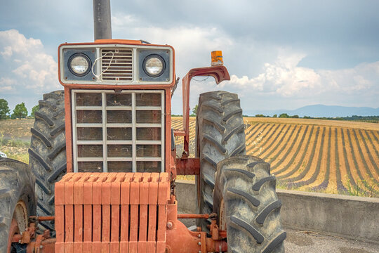 A vintage red tractor sits at the edge of a neatly plowed field of lavander in Provence with parallel rows, distant hills and a cloudy sky, capturing rural farming life