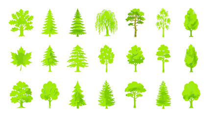 Green Forest Trees Collection Flat Design © wowo