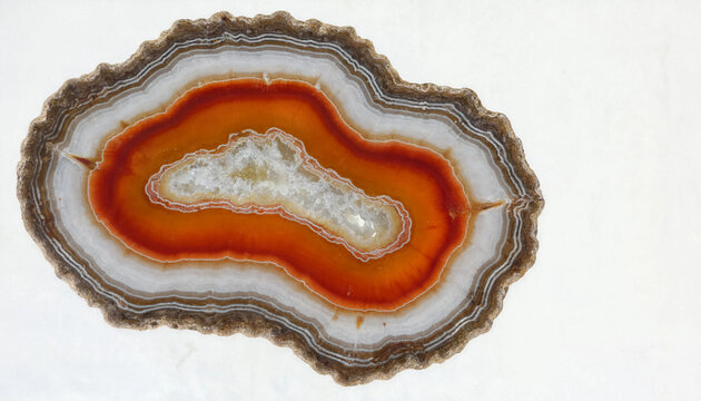 Macro view of a agate stone slice featuring layered orange and white crystalline textures isolated on a white background stone carving gemstone precious specimen translucent colorful