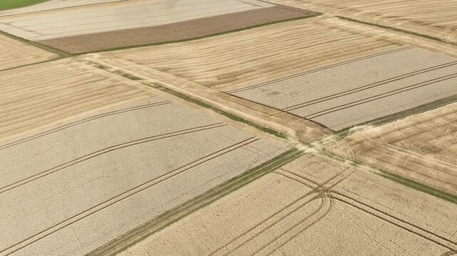 Agricultural field, harvest and agricultural machinery - combine harvester