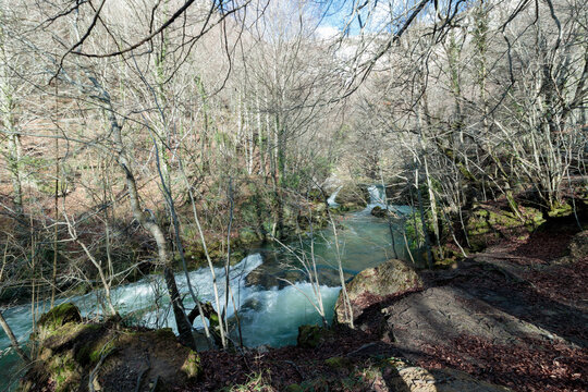 River flowing through bare winter forest landscape