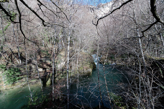 Forest river flowing through bare winter trees